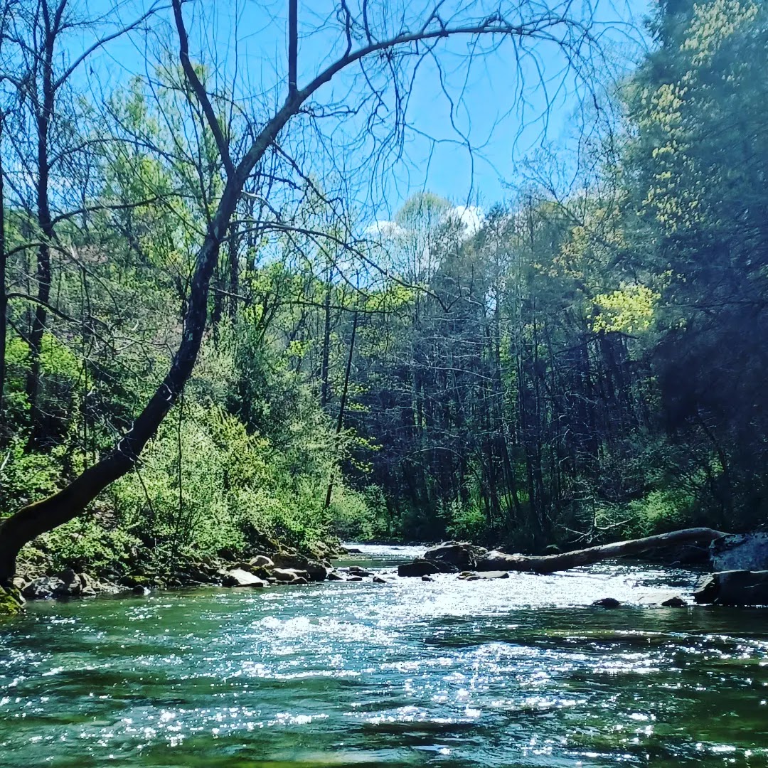 Matt McGraw Escatawba Farms Appalachianhookset